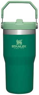 Stanley IceFlow Stainless Steel Tumbler Review: Stay Hydrated All Day